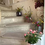 The House Of Flowers * St. Vith