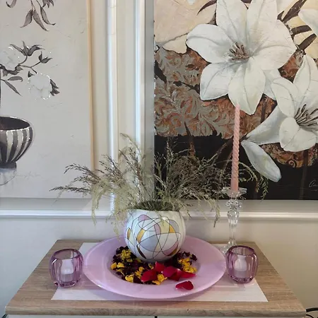 The House Of Flowers St. Vith