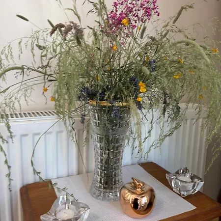 The House Of Flowers * St. Vith