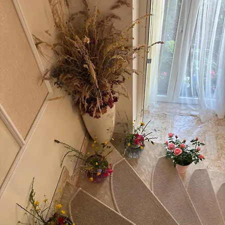 The House Of Flowers St. Vith