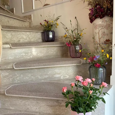 The House Of Flowers * سينت فيث